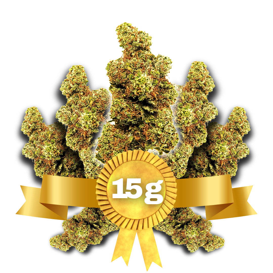 15g Key Lemon Pie idroponica