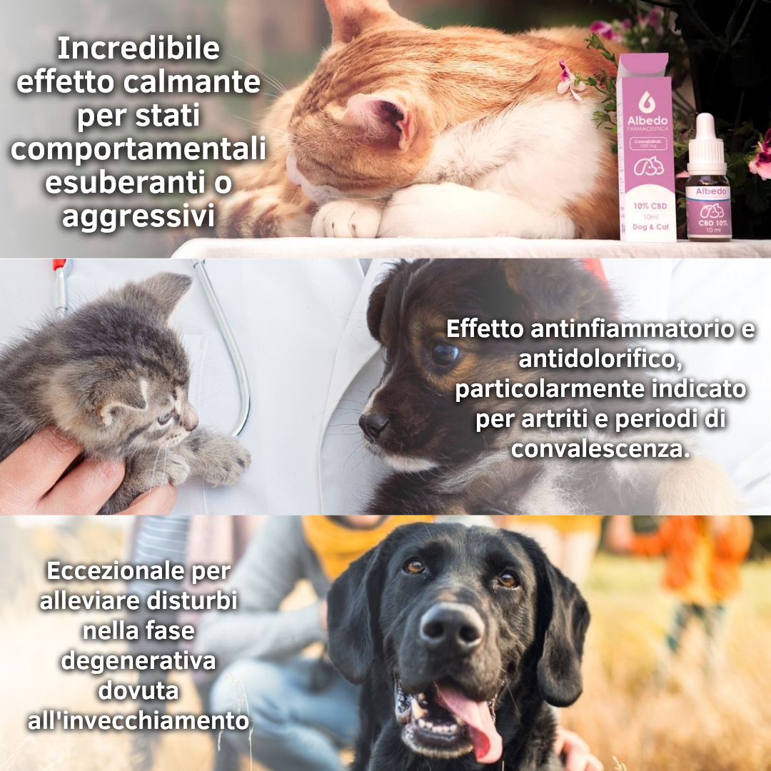 Olio al CBD 2,5% per Animali