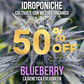 15g Blueberry hydroponics 