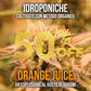 15g Orange Juice hydroponic